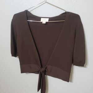 LOFT Dark Brown Crop Top with Tie Front